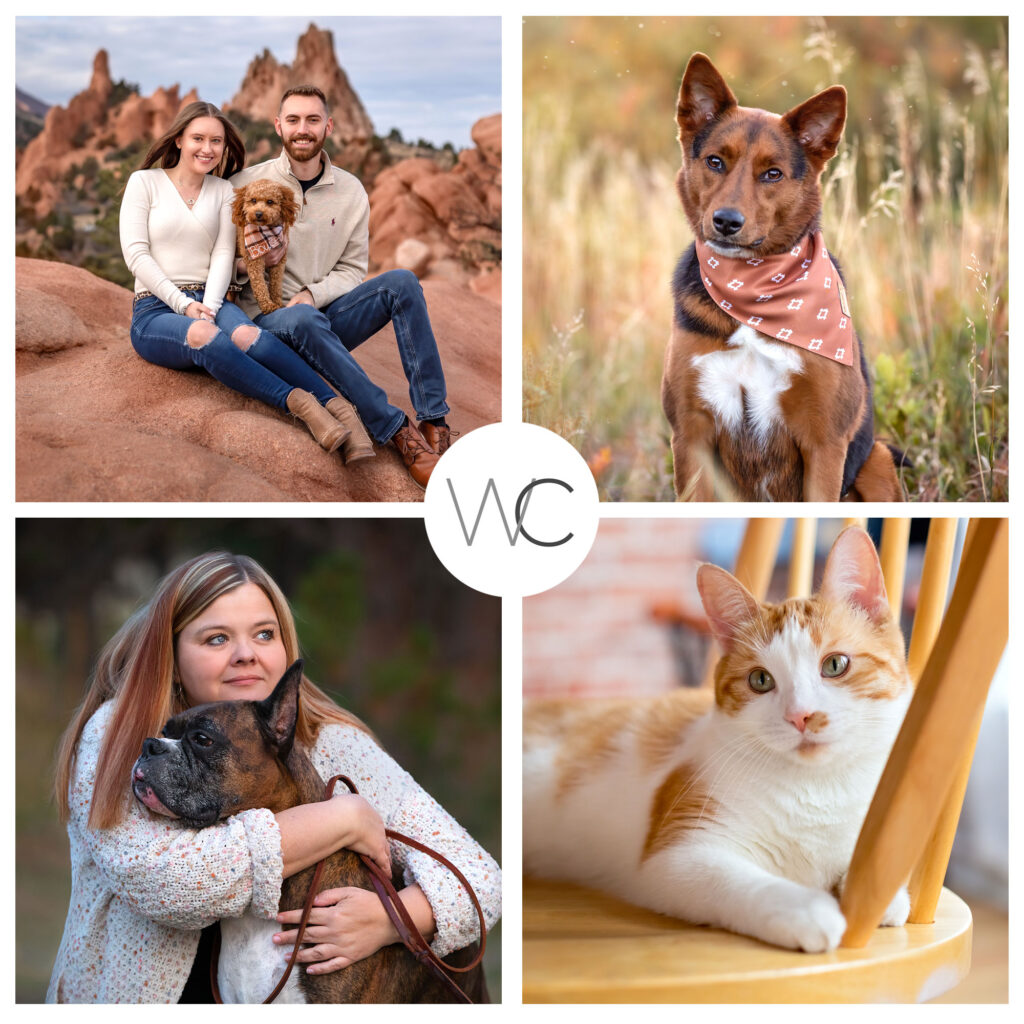 A collage of four images featuring people with pets: a couple with a dog in rocky terrain, a dog in a scarf, a woman hugging a large dog, and a cat sitting under a chair.