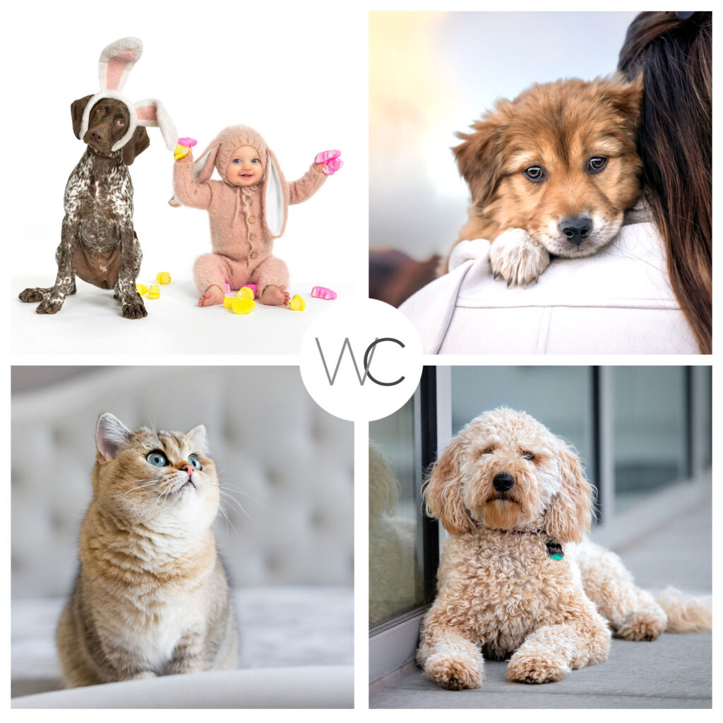 WCGB-Collage-6-all-pets