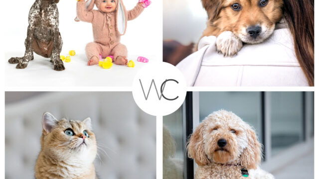 WCGB-Collage-6-all-pets