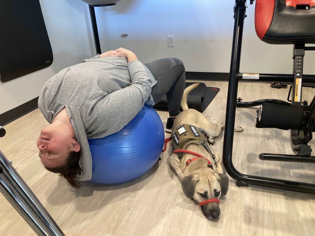 Person lying back on a blue exercise ball beside a dog wearing a vest, both on a floor with gym equipment around.