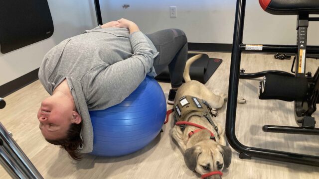 Person lying back on a blue exercise ball beside a dog wearing a vest, both on a floor with gym equipment around.