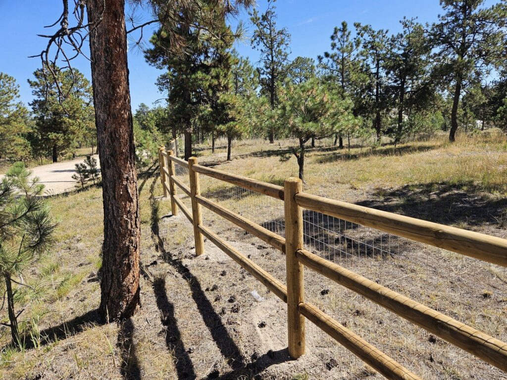 A wooden fence with wire mesh runs through a grassy area with scattered pine trees under a clear blue sky.