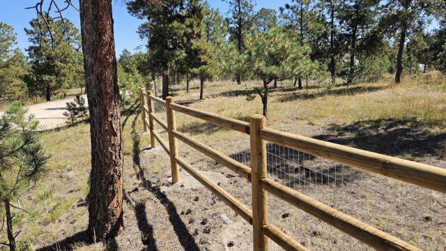 A wooden fence with wire mesh runs through a grassy area with scattered pine trees under a clear blue sky.