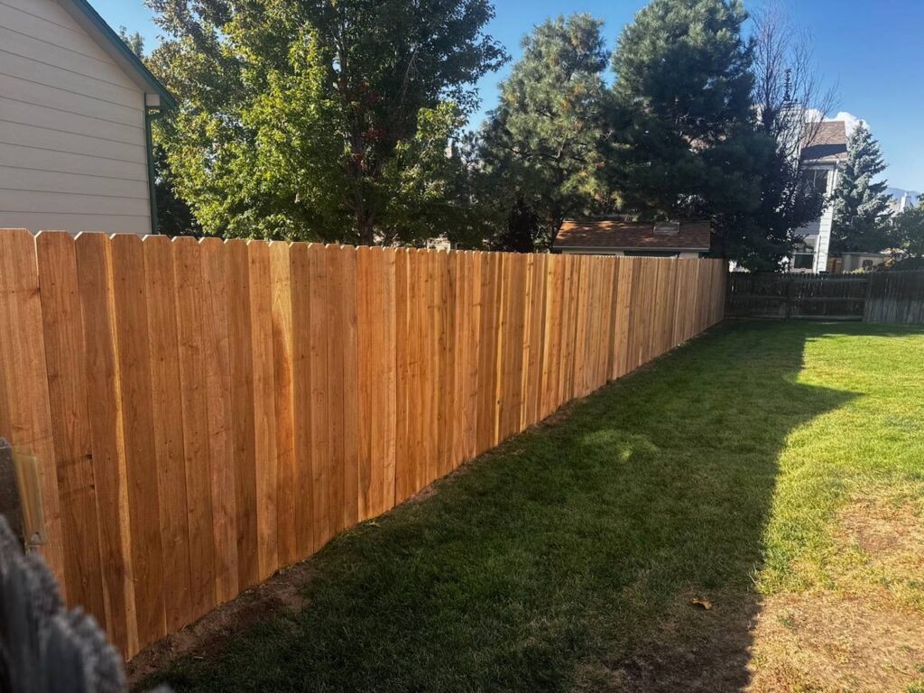 A wooden privacy fence runs alongside a green lawn with trees and houses visible in the background.