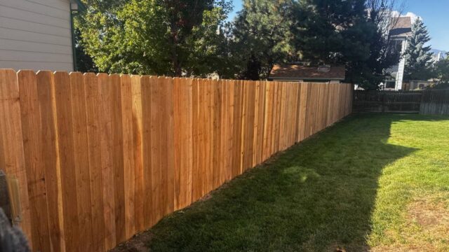 A wooden privacy fence runs alongside a green lawn with trees and houses visible in the background.